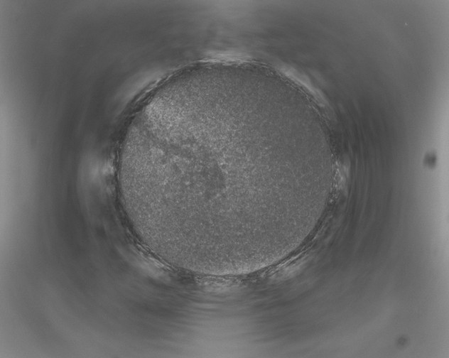 X0000116771254201001281625