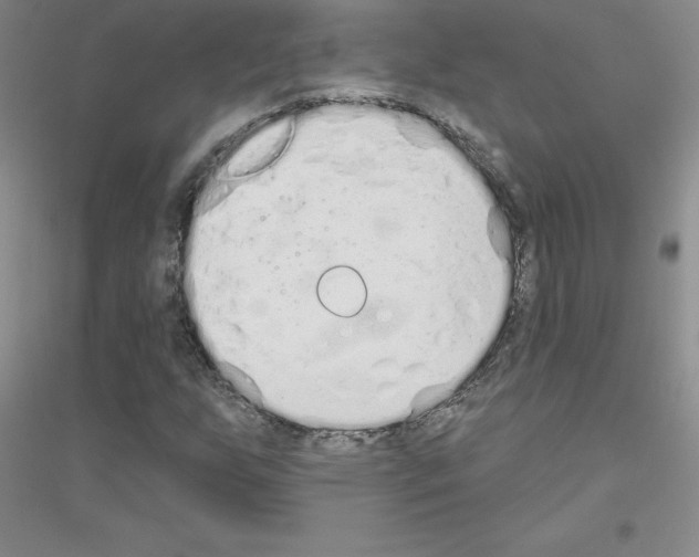 X0000116771255201001281625