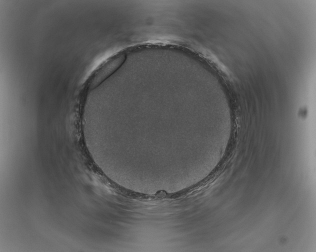 X0000116771256201001281625