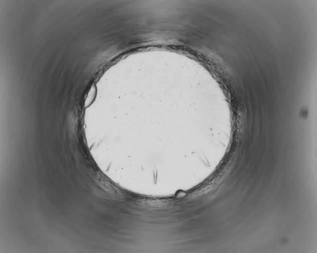 X0000116771257201001281625
