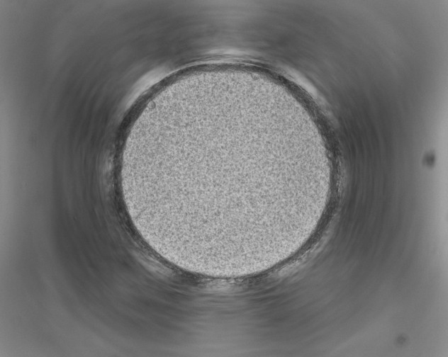 X0000116771259201001281625