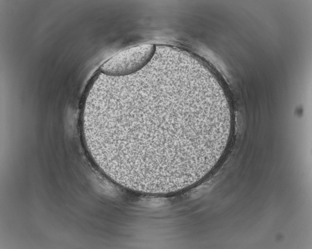 X0000116771260201001281625