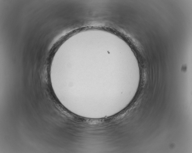 X0000116771262201001281625