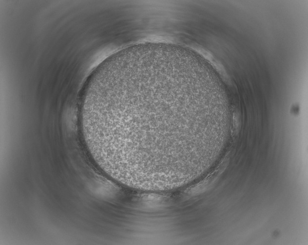X0000116771266201001281625