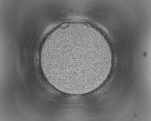 X0000116771267201001281625