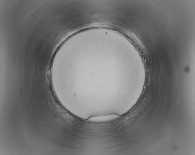 X0000116771268201001281625