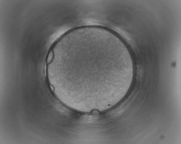 X0000116771269201001281625