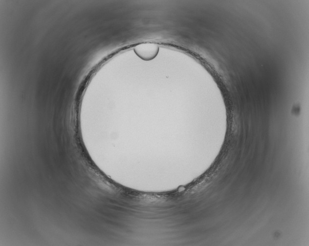 X0000116771270201001281625