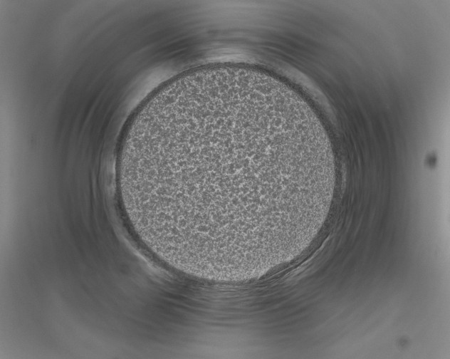 X0000116771274201001281625