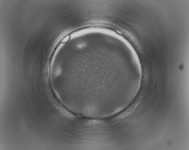 X0000116771275201001281625