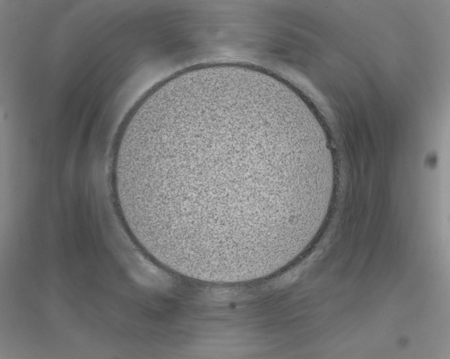 X0000116771278201001281625
