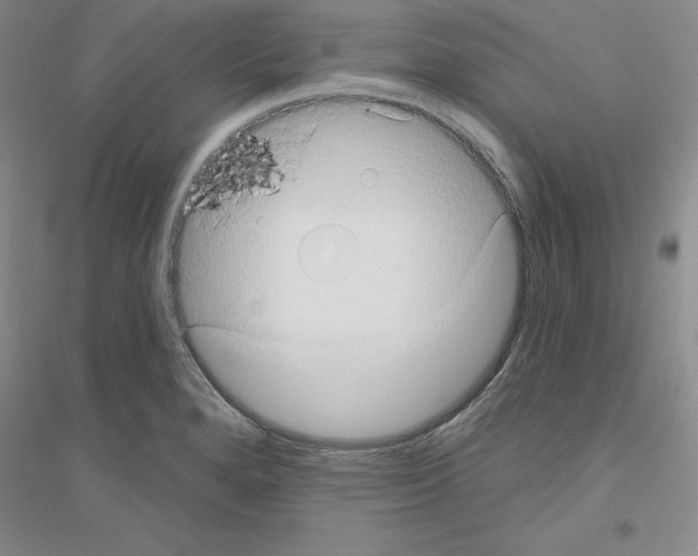X0000116771280201001281625