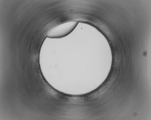X0000116771281201001281625