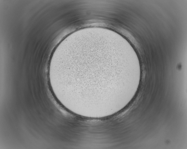 X0000116771282201001281625