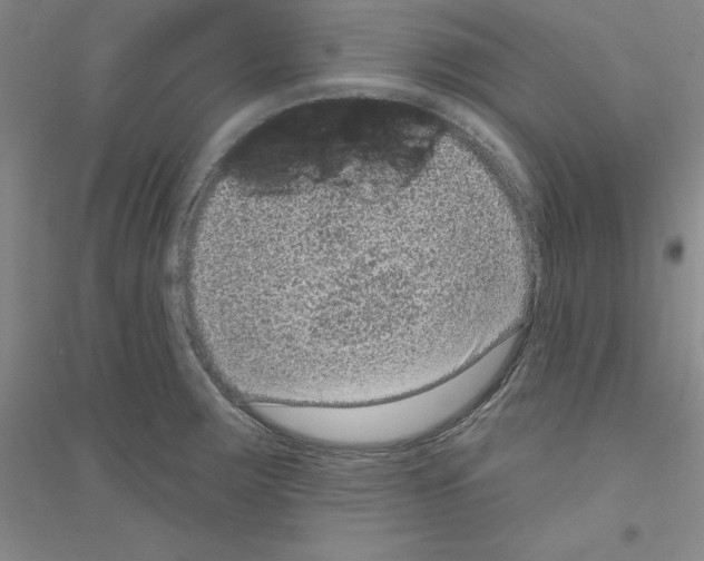 X0000116771283201001281625