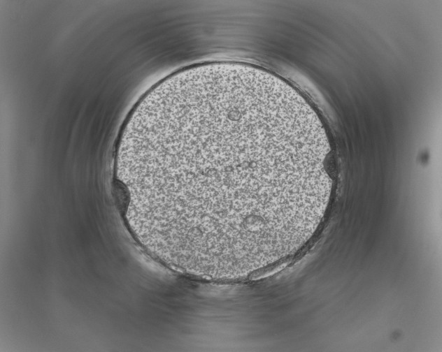 X0000116771284201001281625