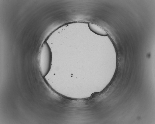 X0000116771285201001281625