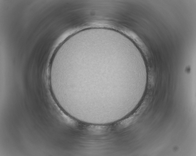 X0000116771286201001281625