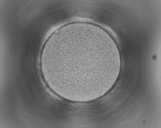 X0000116771287201001281625
