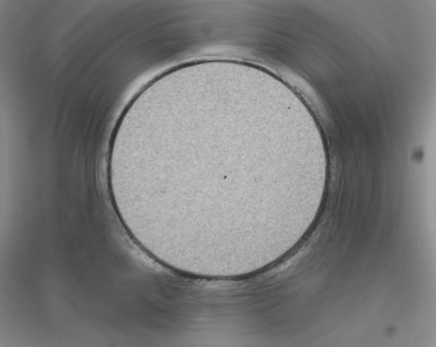 X0000116771288201001281625