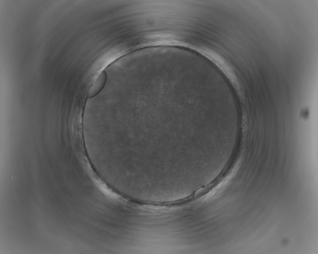 X0000116771289201001281625
