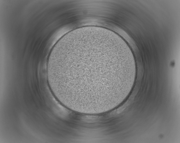 X0000116771290201001281625