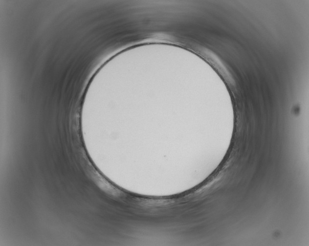 X0000116771292201001281625