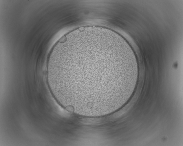 X0000116771294201001281625