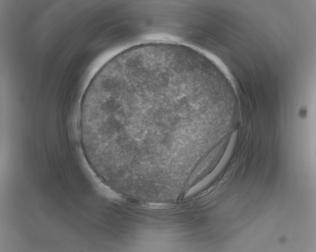 X0000116771295201001281625