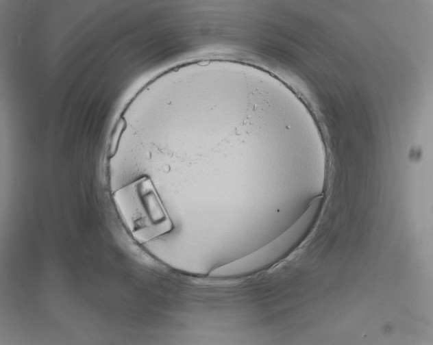 X0000116771296201001281625