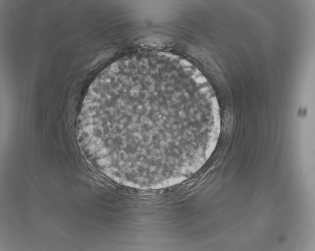 X0000116771297201001281624