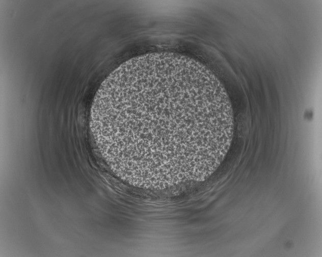 X0000116771298201001281624