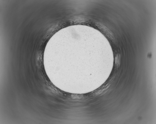 X0000116771299201001281624
