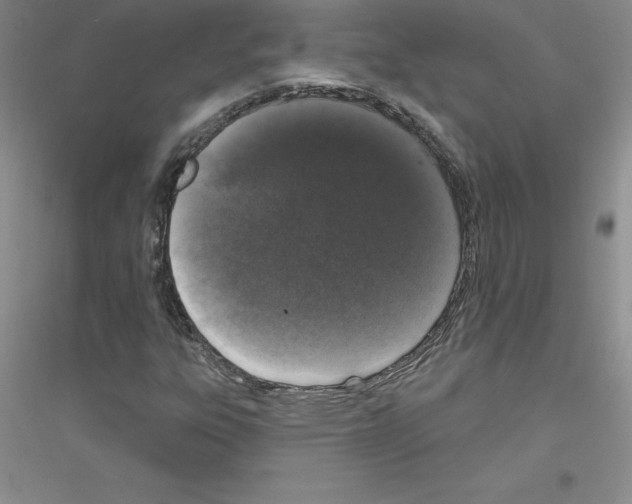 X0000116771303201001281624