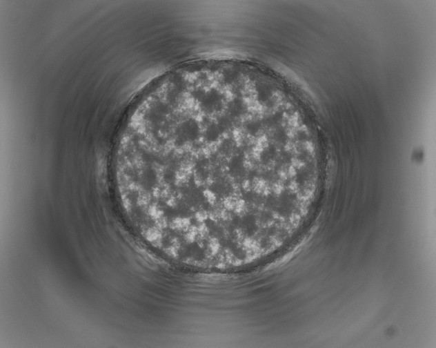 X0000116771305201001281624