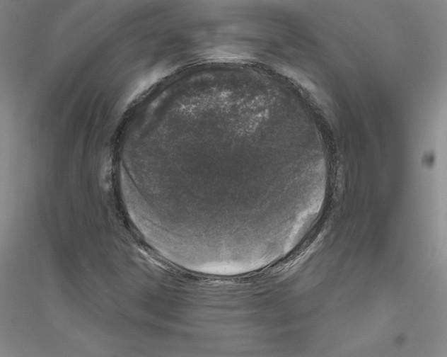 X0000116771306201001281624