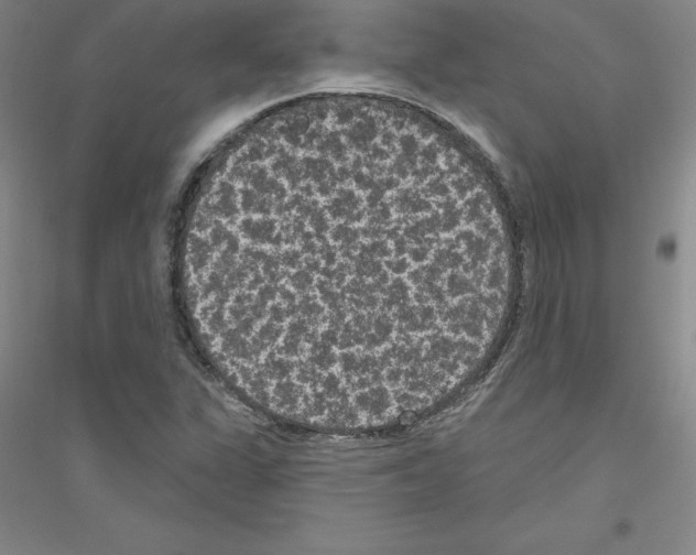 X0000116771311201001281624