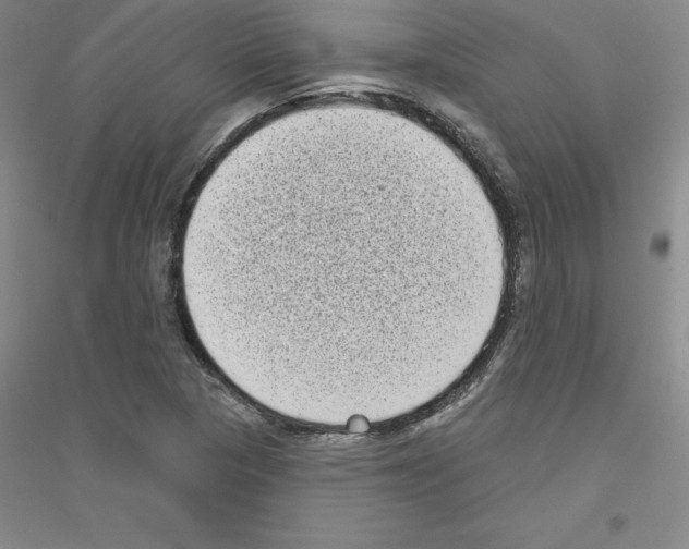 X0000116771313201001281624