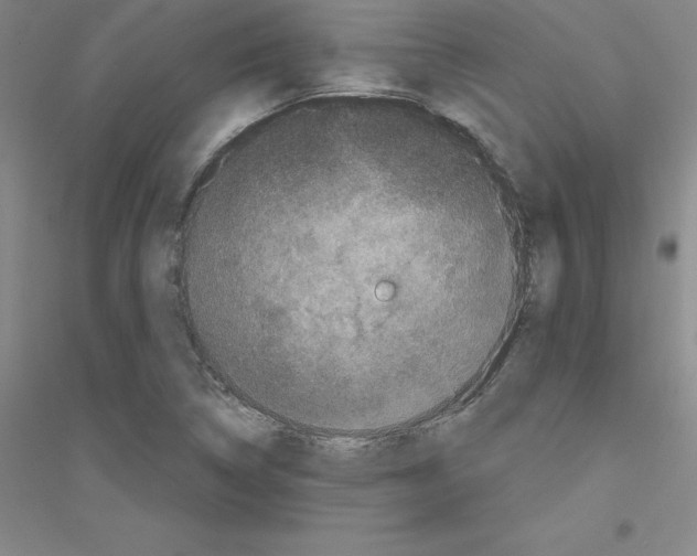 X0000116771314201001281624