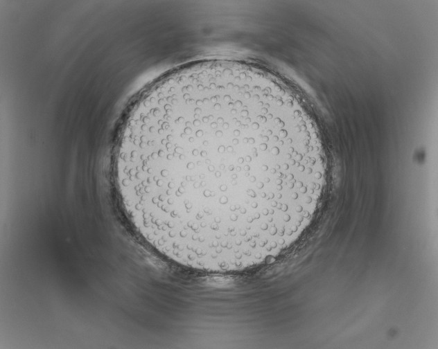 X0000116771315201001281624