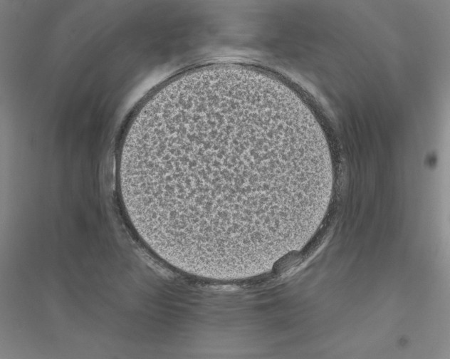 X0000116771317201001281624