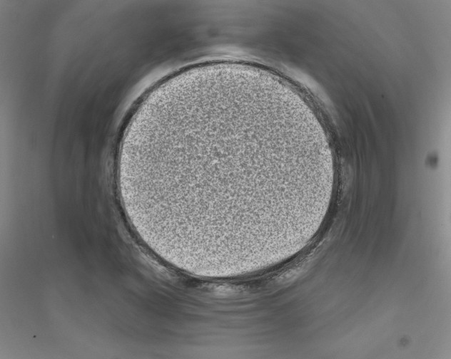 X0000116771318201001281624
