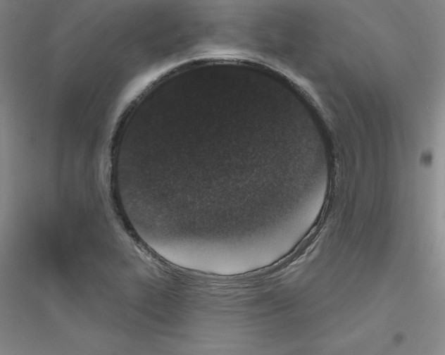 X0000116771319201001281624