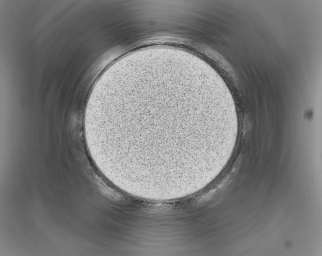 X0000116771321201001281624