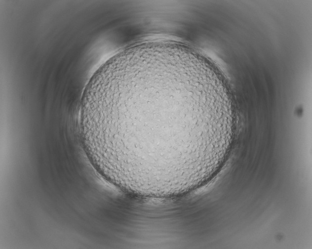 X0000116771322201001281624