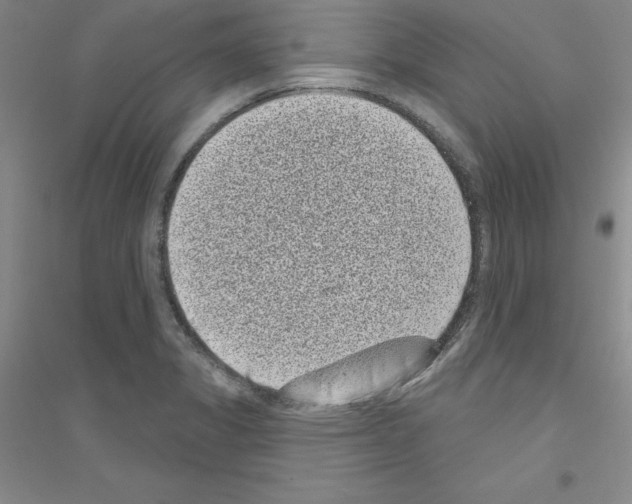 X0000116771325201001281624