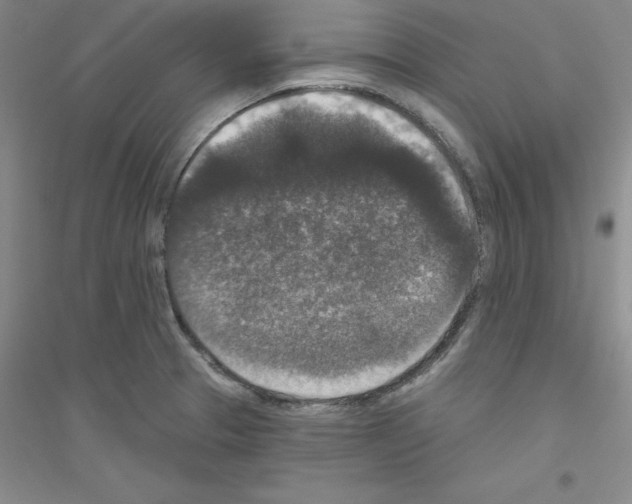 X0000116771329201001281625