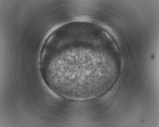 X0000116771331201001281625