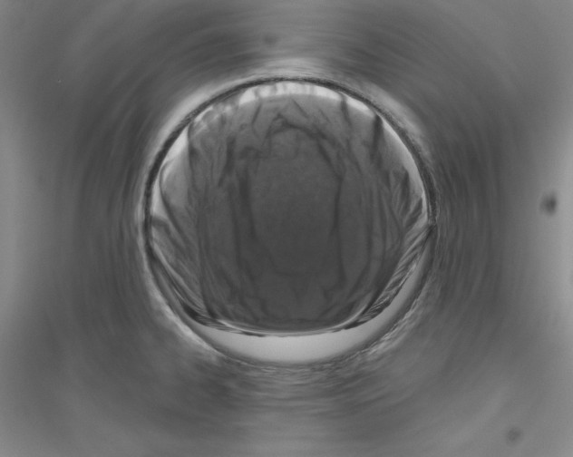 X0000116771334201001281625