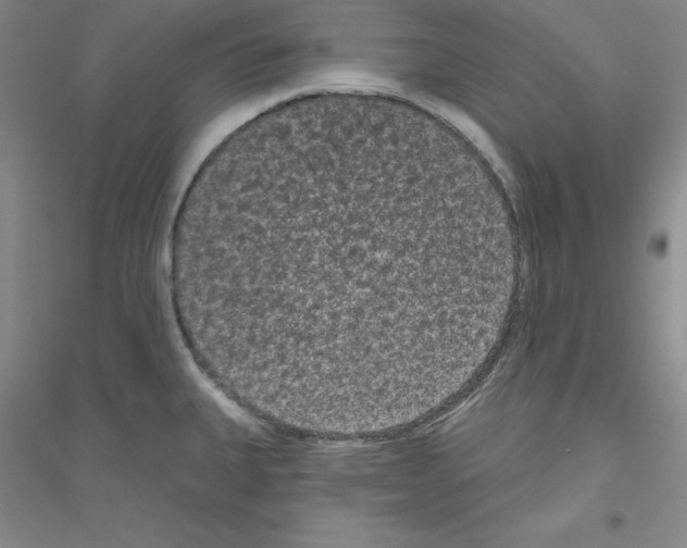 X0000116771335201001281625
